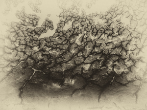 Picture: Dried Blood